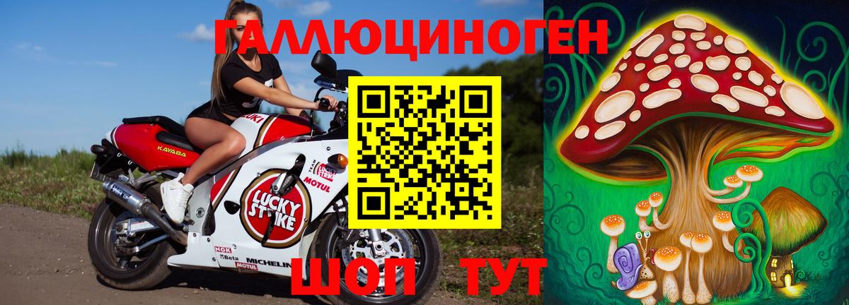 купить наркоту  Вход с VPN  Арсеньев  Галлюциногенные грибы MAGIC MUSHROOMS 